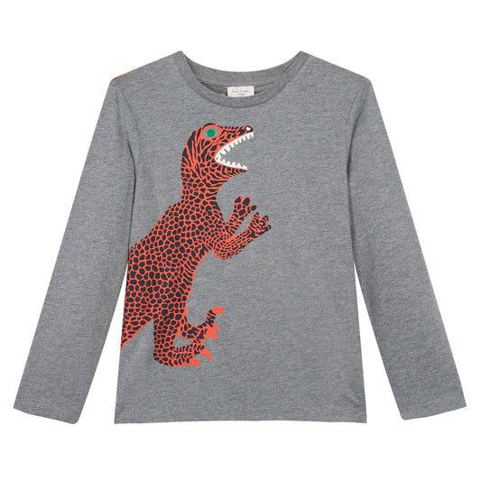 BOYS Granite PARRY 2 GREY TEE-SHIRT