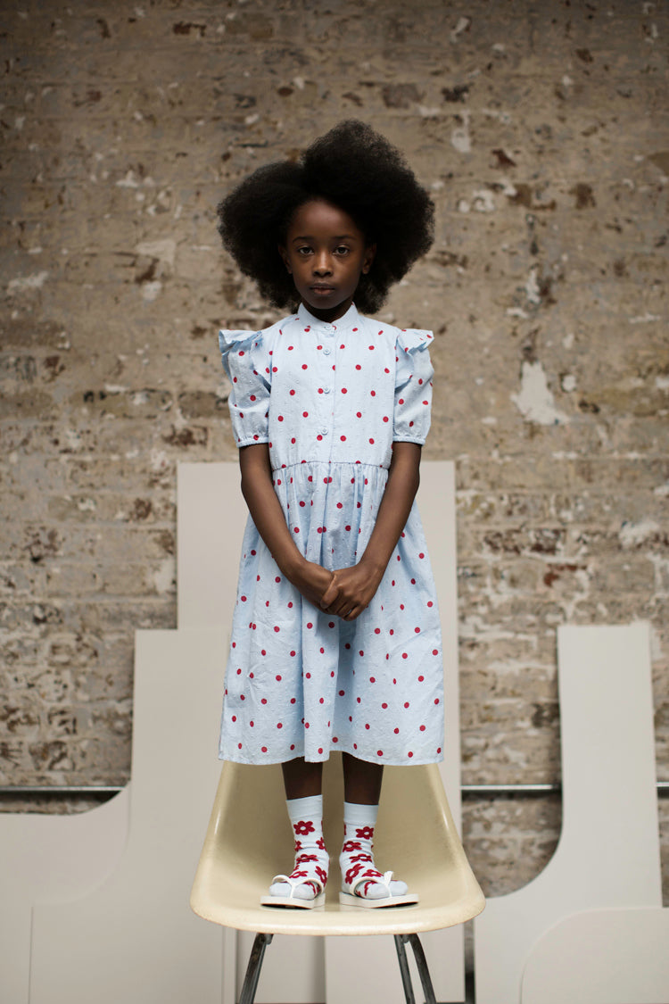 Puff Sleeve Dress Blue/Red