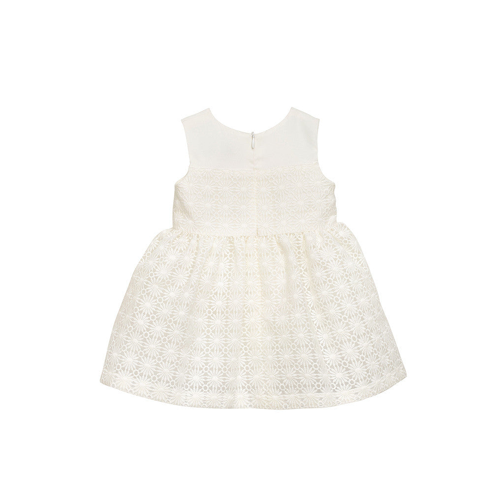 Baby Girls Embroidered Daisy Bodice Dress & Bloomers