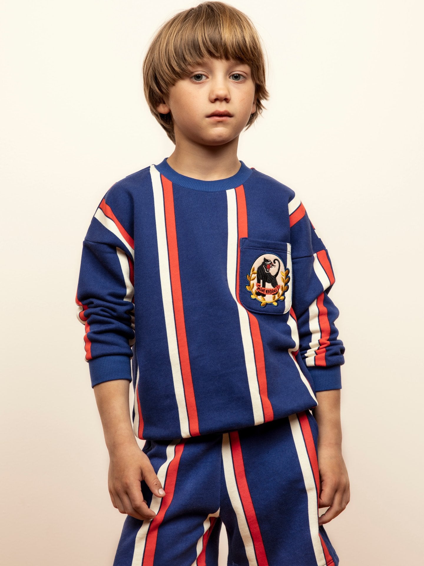 Stripe Sweatshirt